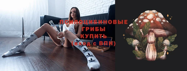 гидра Аркадак