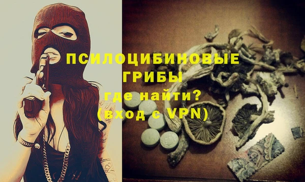 каннабис Арсеньев