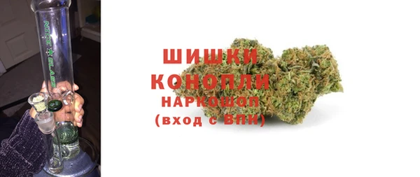 гидра Аркадак