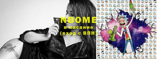 гидра Аркадак